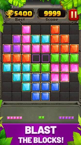  Block Puzzle Guardian   -   