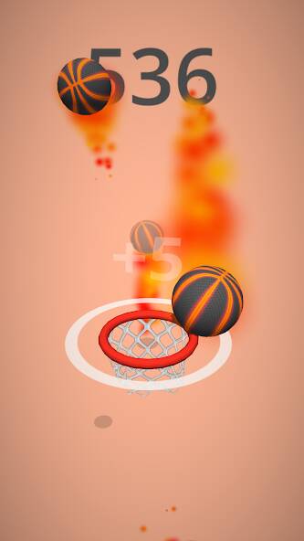  Dunk Hoop   -   