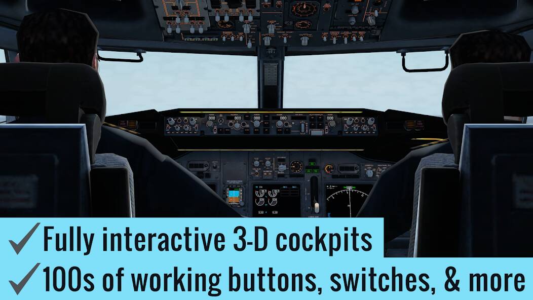  X-Plane Flight Simulator   -   