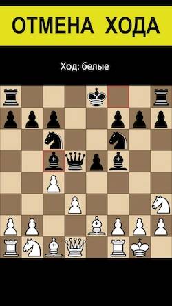 Взломанная Шахматы без интернета на двоих на Андроид - Взлом все открыто