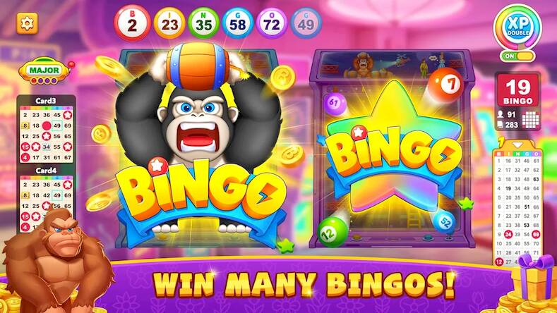  Bingo Party - Lucky Bingo Game   -   