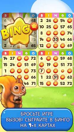  Bingo: Free the Pets   -   
