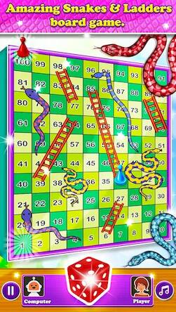  Snake & Ladder Sap Seedi Game   -   