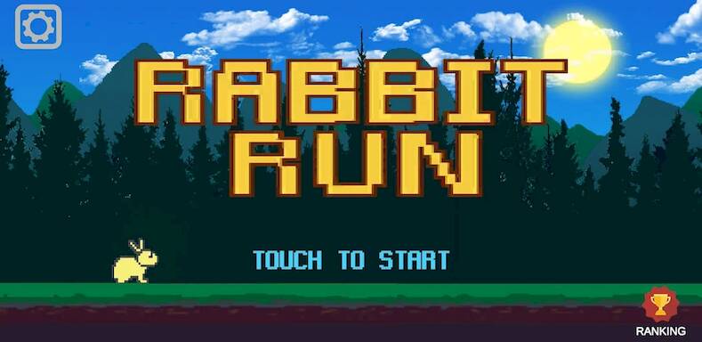  Rabbit Run   -   