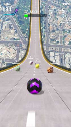  Racing Ball Master 3D   -   