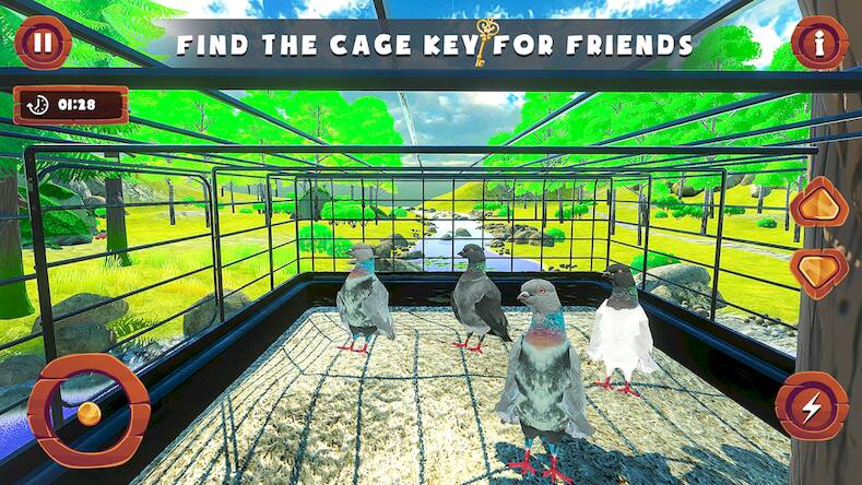  Flying Bird pigeon Games   -   
