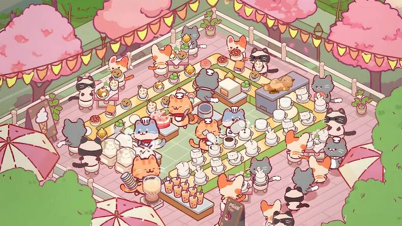  Cat Restaurant   -   