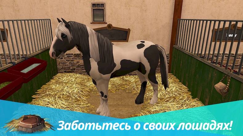  Horse World -     -   