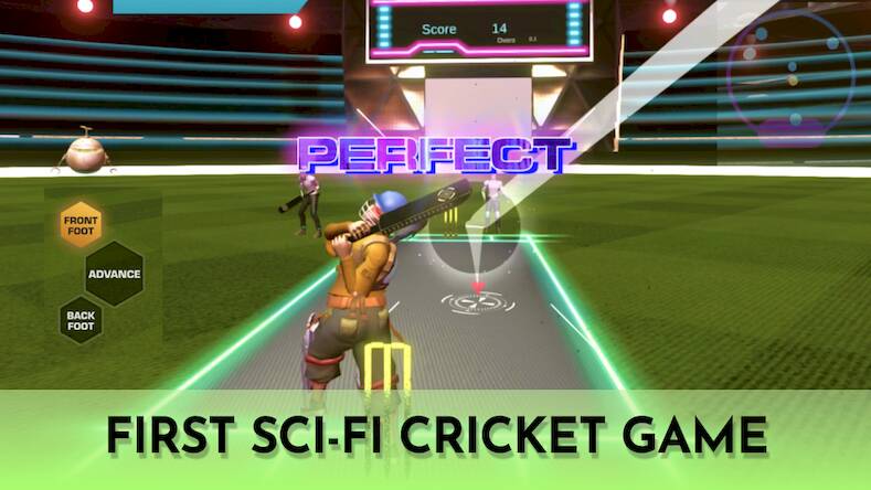  Cricket Fly - Sports Game   -   