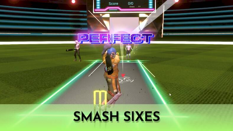  Cricket Fly - Sports Game   -   