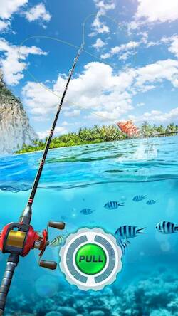  Fishing Rival 3D   -   