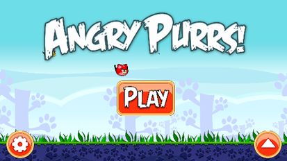  Angry Pussy Cats   -   