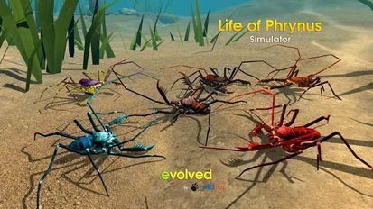  Life of Phrynus - Whip Spider   -   