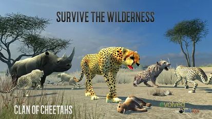  Clan of Cheetahs   -   