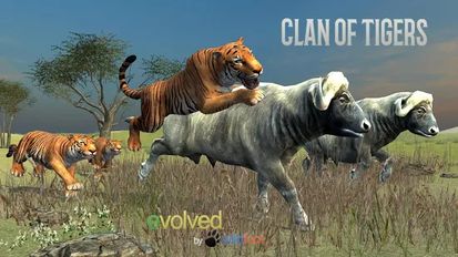  Clan of Tigers   -   
