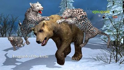  Leopards of the Arctic   -   