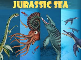  Jurassic Sea   -   