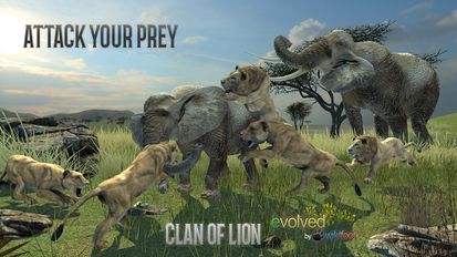  Clan of Lions   -   