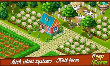  Crop Farm   -   