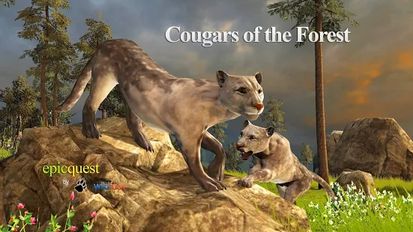  Cougars of the Forest   -   