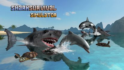  Great White Shark Survival   -   