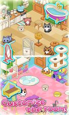  Cat Room   -   