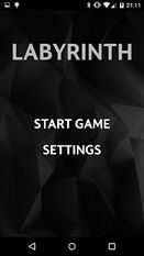  Labyrinth for YotaPhone 2   -   